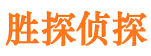 丰都侦探公司